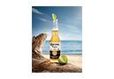 Marque Image Corona Extra