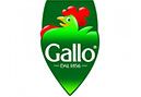 Marque Image Gallo