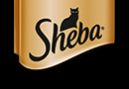 Sheba