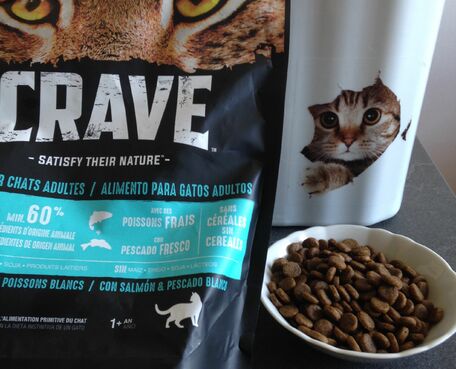 Monavislerendgratuit Com