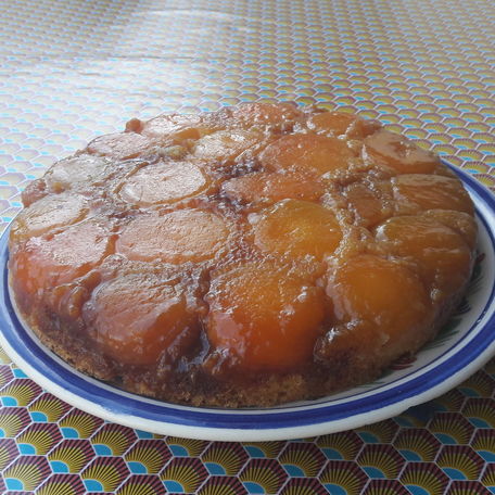 RECIPE MAIN IMAGE Gâteau aux abricots (de ma mamie)