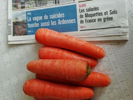 ADVICE MAIN IMAGE Conserver plus longtemps les carottes 