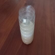 Piège à moustiques et moucherons