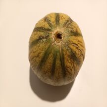 Un melon bien mûr