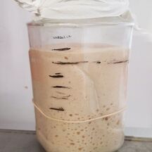 Le levain