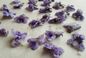 RECIPE THUMB IMAGE 4 Fleurs de violette cristallisées