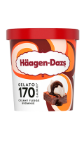 Glace en pot Creamy Fudge Brownie Häagen-Dazs