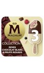 Glace Bâtonnet Chocolat Blanc Classic Et Fruits Rouges Magnum