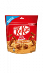 KitKat Mini Break Peanut Butter