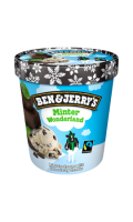 Glace menthe chocolat BEN & JERRY'S Glace menthe chocolat BEN & JERRY'S