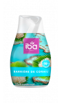 Iba Cône Barrière de Corail