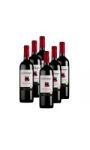 Vin rouge Chili Cabernet Sauvignon - Syrah GATO NEGRO