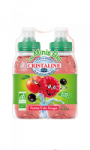 Minis Bio de Cristaline au jus de fruits pomme-fruits rouges