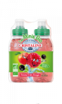 Minis Bio de Cristaline au jus de fruits pomme-fruits rouges Minis Bio de Cristaline au jus de fruits pomme-fruits rouges