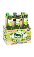 Bière sans alcool citron vert & fleur de sureau Tourtel Botanics